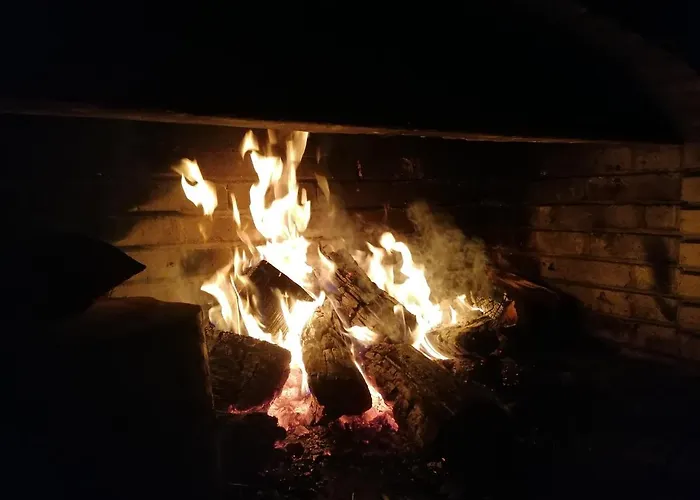 Guest house камината Trigrad