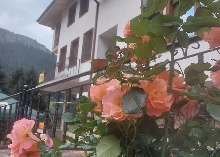 камината Guest house